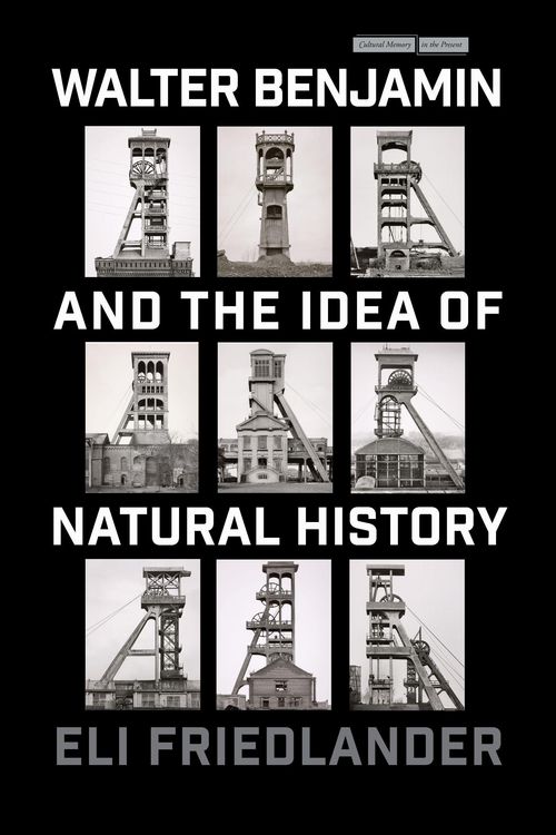 Produktbild: Walter Benjamin and the Idea of Natural History