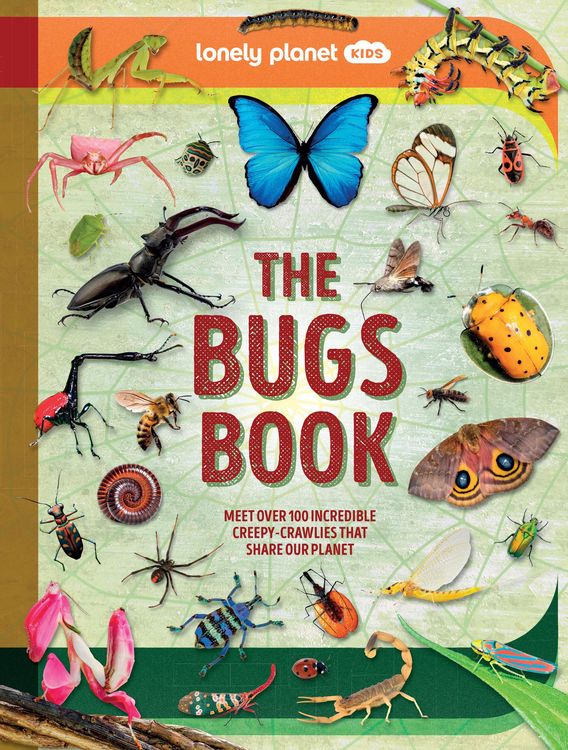 Produktbild: Lonely Planet Kids the Bugs Book