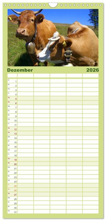 Produktbild: Familienplaner 2026 - K&uuml;he mit 5 Spalten (Wandkalender, 21 x 45 cm) CALVENDO