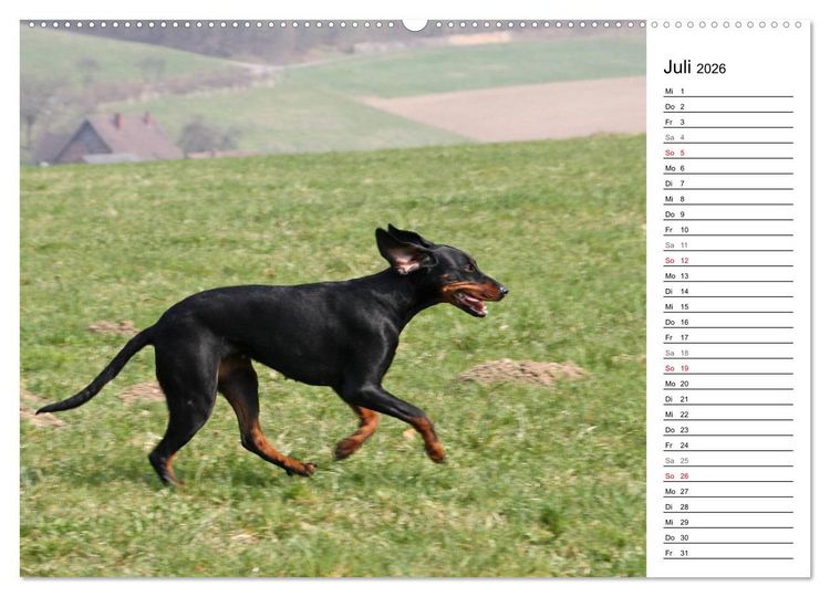 Produktbild: Der Brandlbracken-Terminplaner (hochwertiger Premium Wandkalender 2026 DIN A2 quer), Kunstdruck in Hochglanz