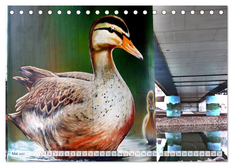 Produktbild: Streetart in Halle an der Saale (Tischkalender 2027 DIN A5 quer), CALVENDO Monatskalender