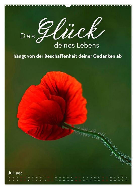 Produktbild: ICH W&Uuml;NSCHE DIR GL&Uuml;CK - 12 Monate mit inspirierenden Gl&uuml;ckszitaten (hochwertiger Premium Wandkalender 2026 DIN A2 hoch), Kunstdruck in Hochglanz