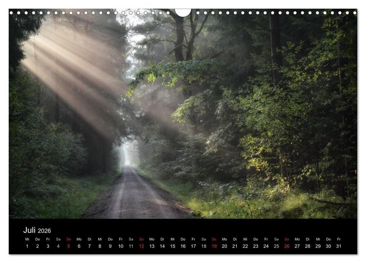 Produktbild: Waldkalender (Wandkalender 2026 DIN A3 quer), CALVENDO Monatskalender
