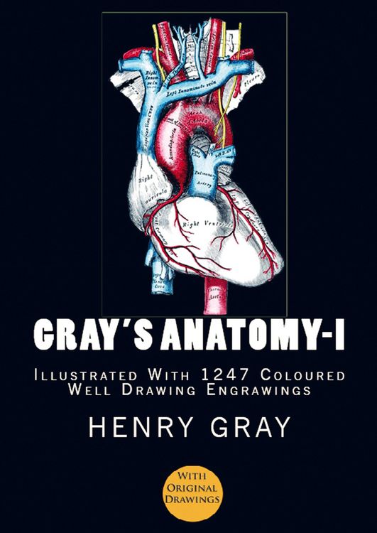 Produktbild: Gray's Anatomy