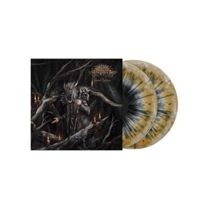 Produktbild: Ritual Hymns