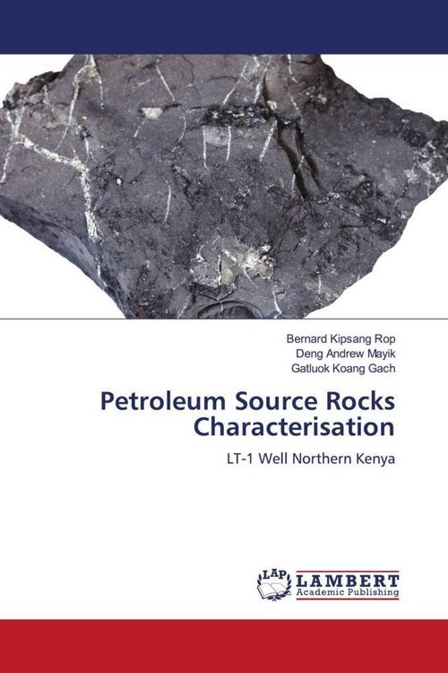 Produktbild: Petroleum Source Rocks Characterisation