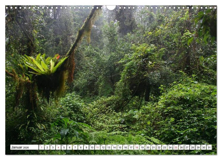 Produktbild: Madagaskar (Wandkalender 2026 DIN A3 quer), CALVENDO Monatskalender
