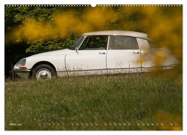 Produktbild: Citro&euml;n DS - G&ouml;ttin in wei&szlig; (Wandkalender 2026 DIN A2 quer), CALVENDO Monatskalender