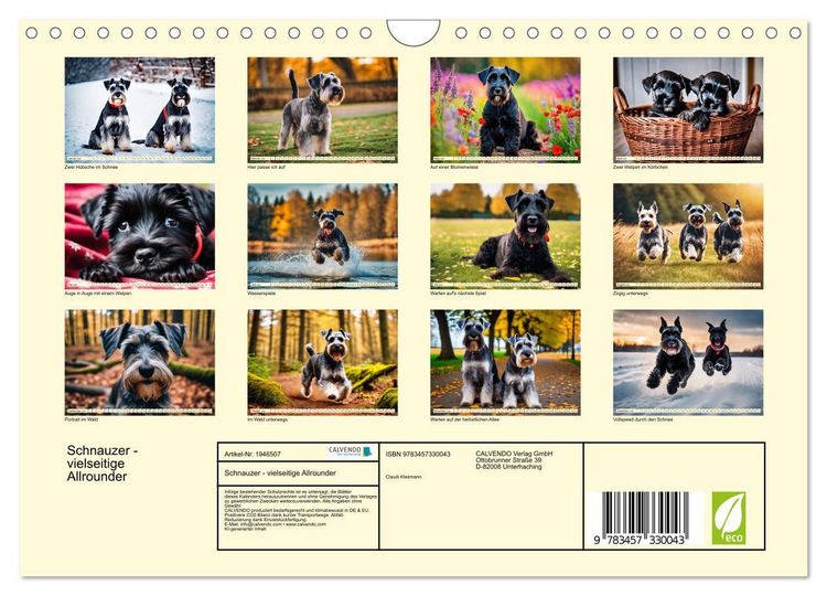Produktbild: Schnauzer - vielseitige Allrounder (Wandkalender 2026 DIN A4 quer), CALVENDO Monatskalender
