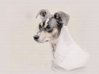 Produktbild: CALVENDO Puzzle Ein Motiv aus dem Kalender Bodeguero Andaluz 2017 | 1000 Teile Lege-Gr&ouml;&szlig;e 64x48cm Foto-Puzzle f&uuml;r gl&uuml;ckliche Stunden