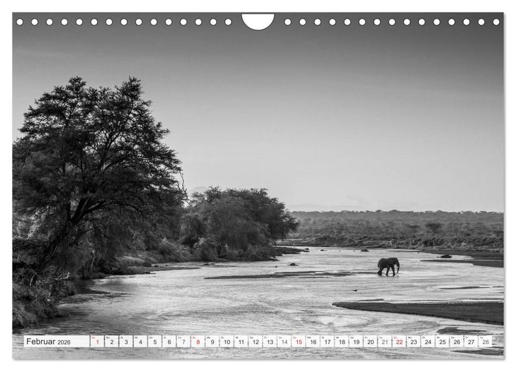 Produktbild: Emotionale Momente: Elefanten in black & white (Wandkalender 2026 DIN A4 quer), CALVENDO Monatskalender