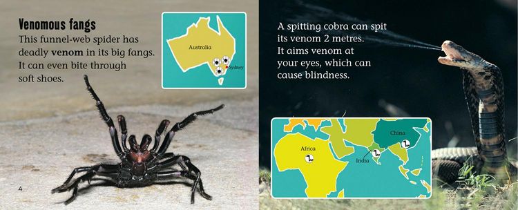 Produktbild: World's Deadliest Creatures