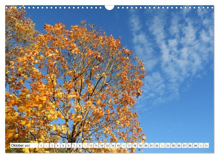 Produktbild: 12 Monate Natur (Wandkalender 2027 DIN A3 quer), CALVENDO Monatskalender