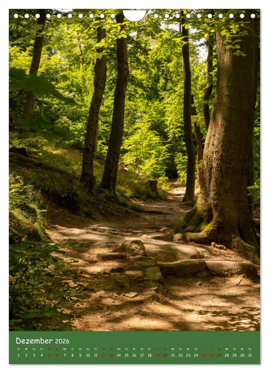 Produktbild: Ich bin dann mal im Wald (Wandkalender 2026 DIN A4 hoch), CALVENDO Monatskalender