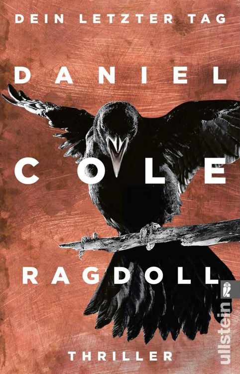 Produktbild: Ragdoll - Dein letzter Tag