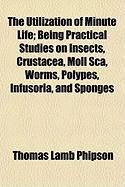 Produktbild: The Utilization of Minute Life; Being Practical Studies on Insects, Crustacea, Moll SCA, Worms, Polypes, Infusoria, and Sponges