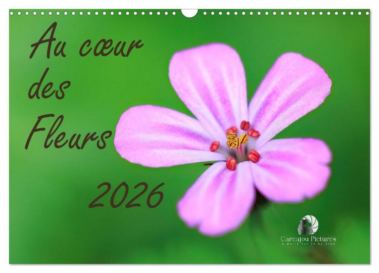 Produktbild: Au c&oelig;ur des fleurs (Calendrier mural 2026 DIN A3 vertical), CALVENDO calendrier mensuel