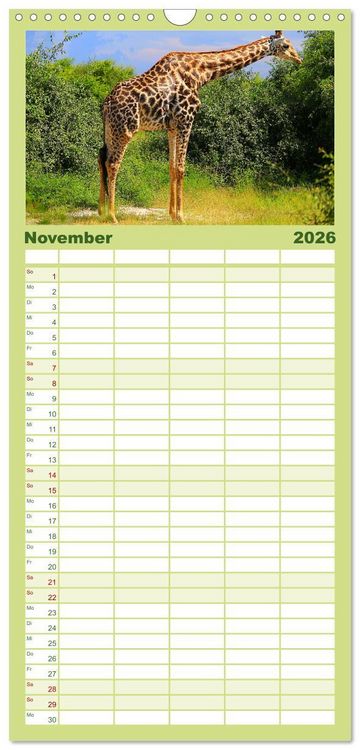 Produktbild: Familienplaner 2026 - Botswana- Pirschfahrt mit Garantie auf Wildlife mit 5 Spalten (Wandkalender, 21 x 45 cm) CALVENDO