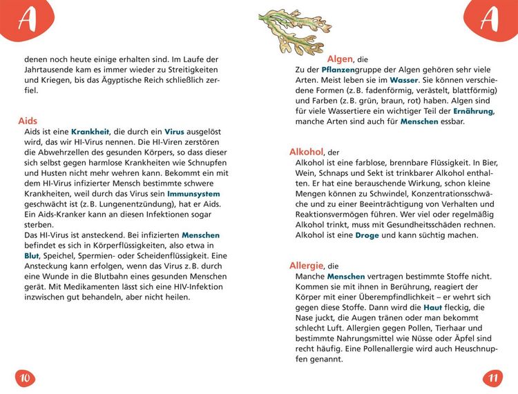Produktbild: Das Grundschullexikon
