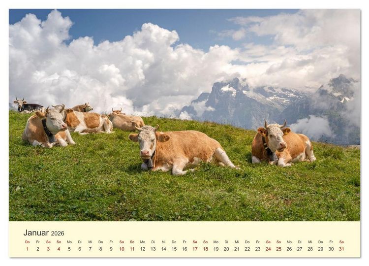 Produktbild: Schweiz - Die gr&uuml;ne Lunge Europas (hochwertiger Premium Wandkalender 2026 DIN A2 quer), Kunstdruck in Hochglanz