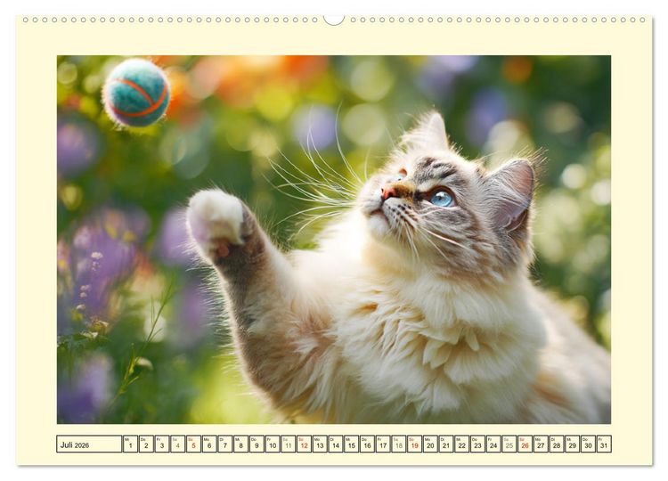 Produktbild: Liebliche Ragdolls. Katzen-Sch&ouml;nheiten in ihrer gr&uuml;nen Oase (hochwertiger Premium Wandkalender 2026 DIN A2 quer), Kunstdruck in Hochglanz