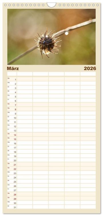 Produktbild: Familienplaner 2026 - Verbl&uuml;hte Sch&ouml;nheiten mit 5 Spalten (Wandkalender, 21 x 45 cm) CALVENDO