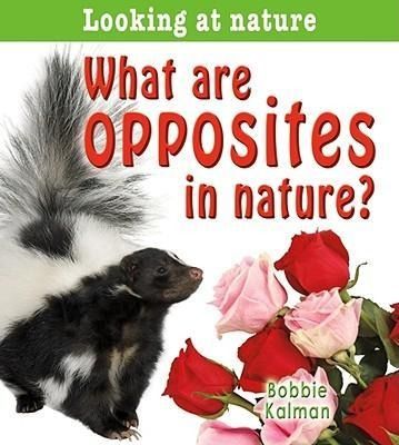 Produktbild: What Are Opposites in Nature?