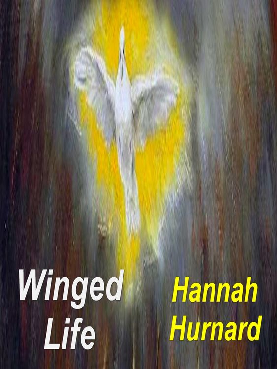 Produktbild: Winged Life