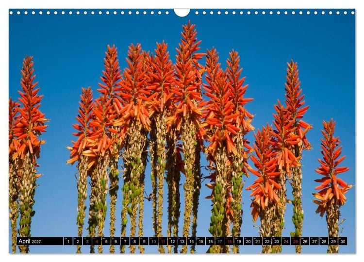 Produktbild: Namib Naukluft Nationalpark. NAMIBIA 2027 (Wandkalender 2027 DIN A3 quer), CALVENDO Monatskalender
