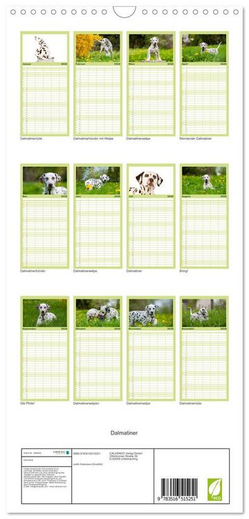 Produktbild: Familienplaner 2026 - Dalmatiner mit 5 Spalten (Wandkalender, 21 x 45 cm) CALVENDO