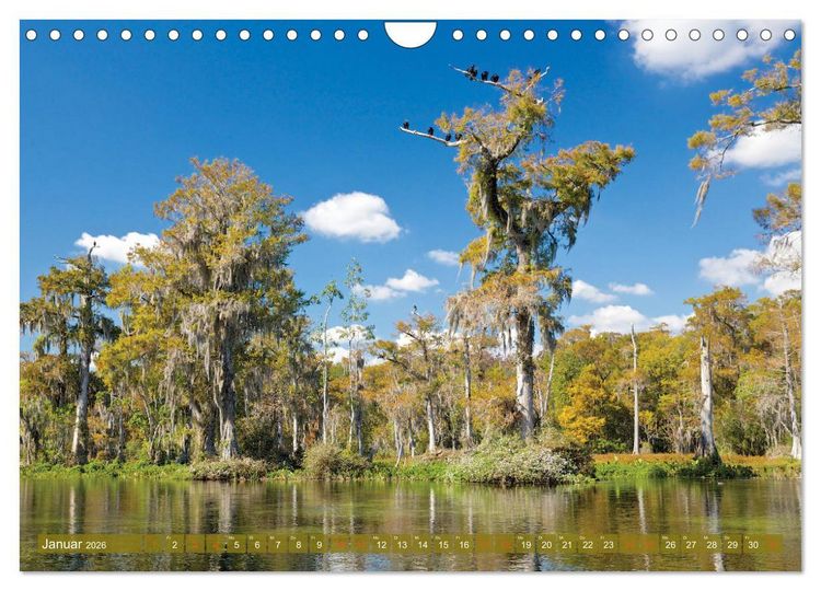Produktbild: GEOclick calendar: Florida (Wandkalender 2026 DIN A4 quer), CALVENDO Monatskalender