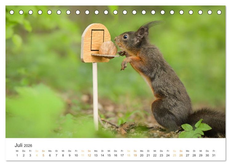 Produktbild: Geheimes Waldleben (Tischkalender 2026 DIN A5 quer), CALVENDO Monatskalender