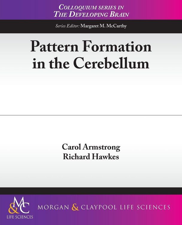 Produktbild: Pattern Formation in the Cerebellum