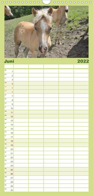 Produktbild: Familienplaner Alpenpferde (Wandkalender 2022 , 21 cm x 45 cm, hoch)