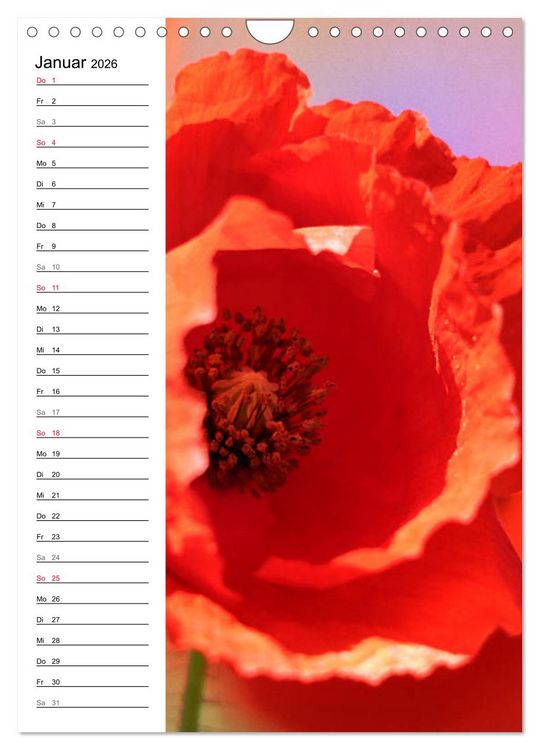 Produktbild: Mohn, zarte Bl&uuml;ten, starke Farben, der Geburtstagskalender (Wandkalender 2026 DIN A4 hoch), CALVENDO Monatskalender