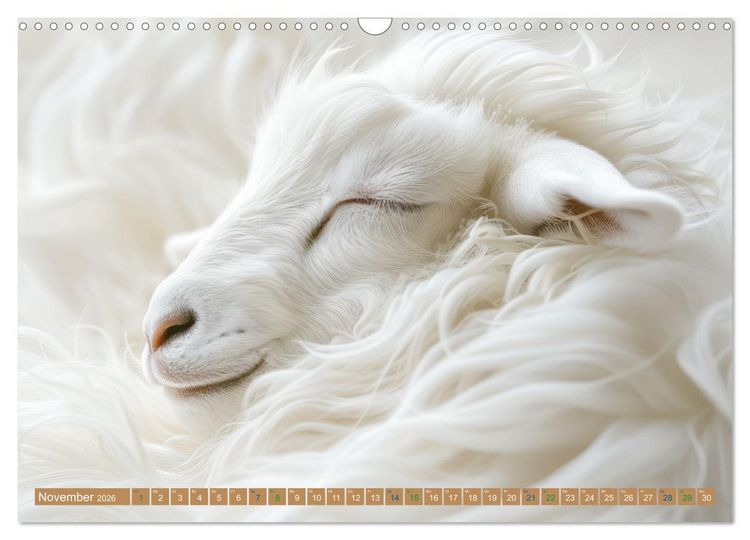 Produktbild: Tierische Tr&auml;umer - Sanft ruhend (Wandkalender 2026 DIN A3 quer), CALVENDO Monatskalender