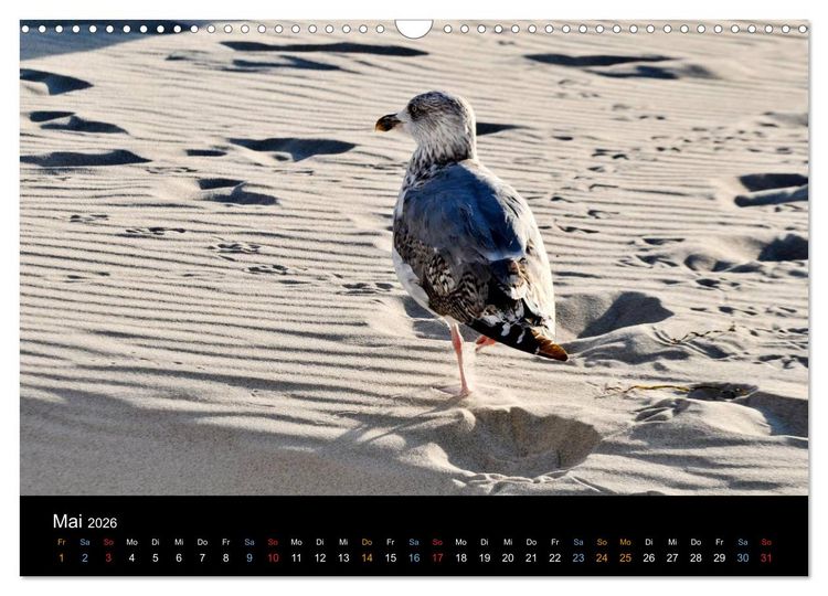 Produktbild: Warnem&uuml;nde - Maritime Landschaften (Wandkalender 2026 DIN A3 quer), CALVENDO Monatskalender