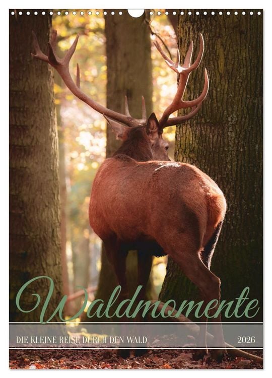 Produktbild: Waldmomente (Wandkalender 2026 DIN A3 hoch), CALVENDO Monatskalender