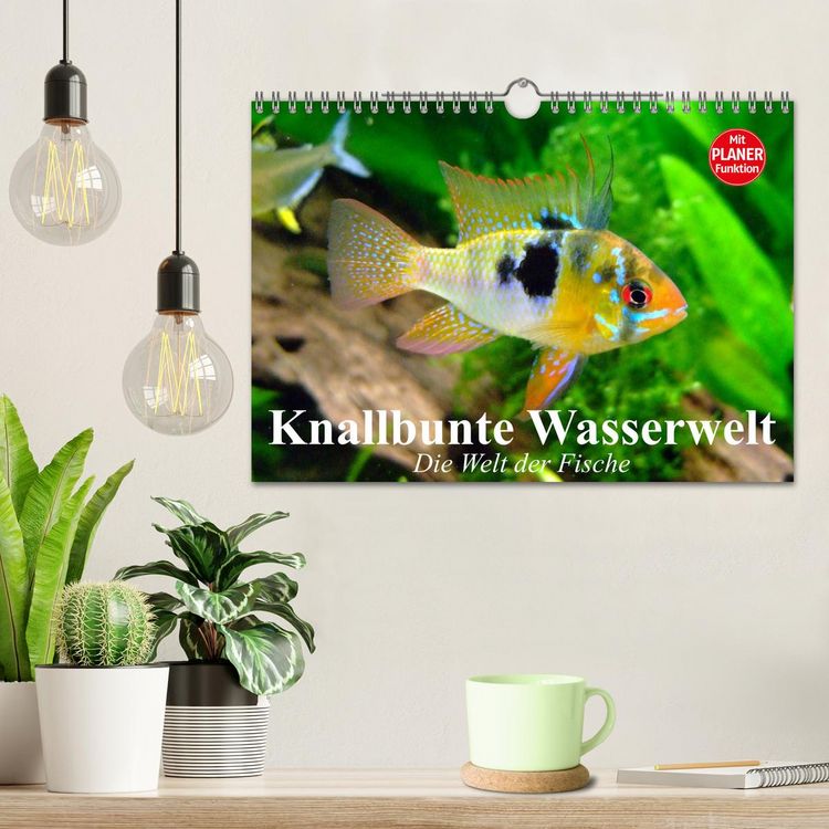 Produktbild: Knallbunte Wasserwelt. Die Welt der Fische (Wandkalender 2026 DIN A4 quer), CALVENDO Monatskalender