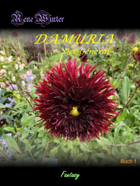 Produktbild: Damuria - General