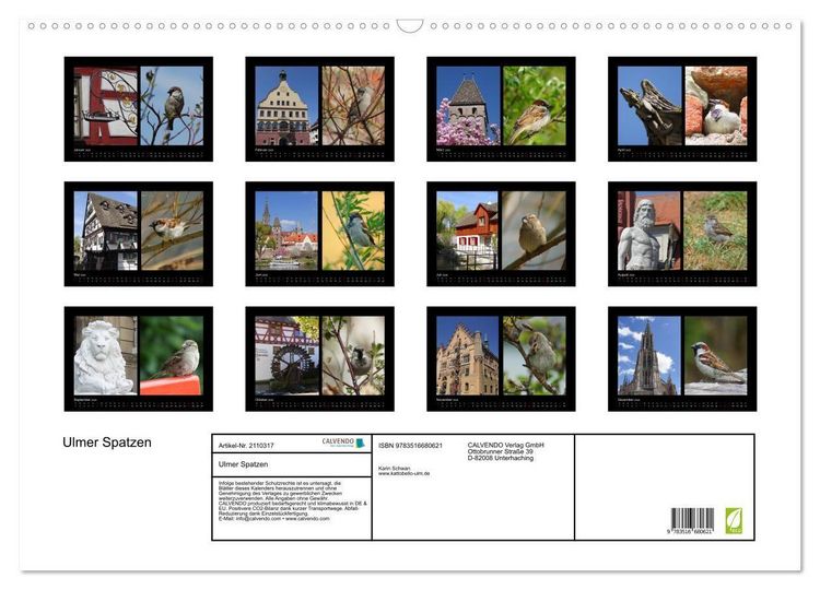 Produktbild: Ulmer Spatzen (Wandkalender 2026 DIN A2 quer), CALVENDO Monatskalender