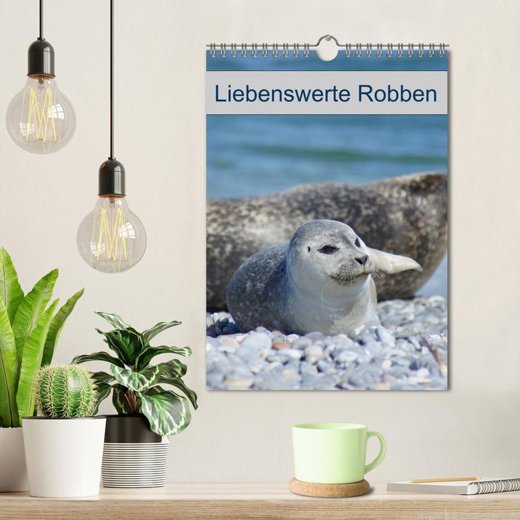 Produktbild: Liebenswerte Robben (Wandkalender 2026 DIN A4 hoch), CALVENDO Monatskalender