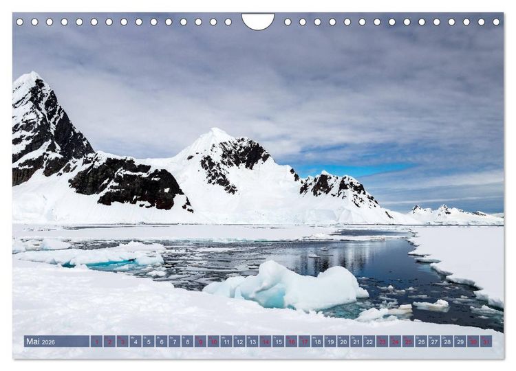 Produktbild: Antarktis Gletscher, Robben, Pinguine (Wandkalender 2026 DIN A4 quer), CALVENDO Monatskalender