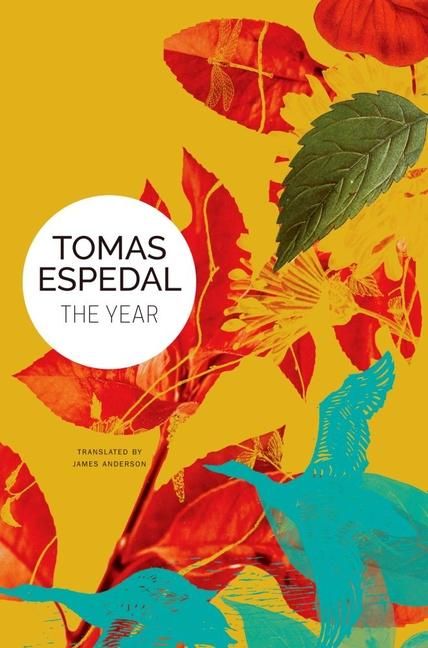 Produktbild: The Year