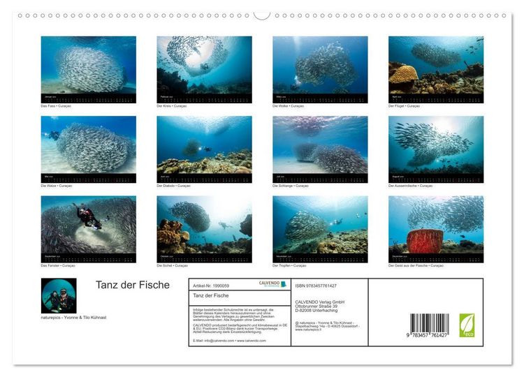 Produktbild: Tanz der Fische (hochwertiger Premium Wandkalender 2026 DIN A2 quer), Kunstdruck in Hochglanz