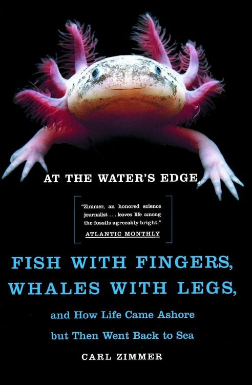 Produktbild: At the Water's Edge