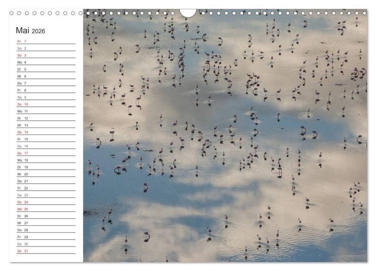 Produktbild: Emotionale Momente: Mein wildes Afrika (Wandkalender 2026 DIN A3 quer), CALVENDO Monatskalender