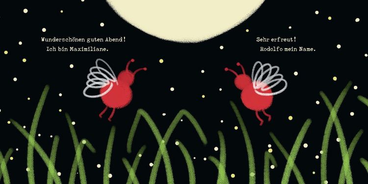 Produktbild: Zwei rote Gl&uuml;hw&uuml;rmchen. Bilderbuch