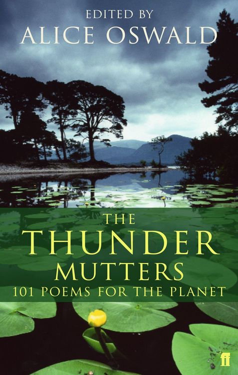 Produktbild: The Thunder Mutters