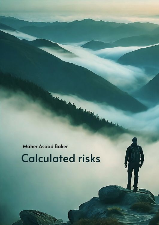 Produktbild: Calculated risks